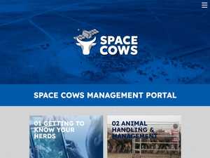Space Cows